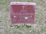 image of grave number 253056
